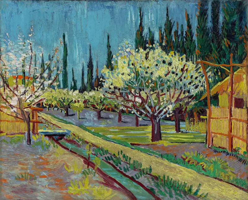 Sad s cypřiši, Vincent van Gogh