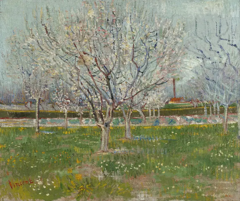 Blühender Obstgarten (Pflaumenbäume) von Vincent van Gogh