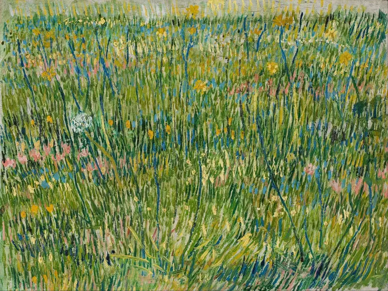 Płacheć trawy, Vincent van Gogh