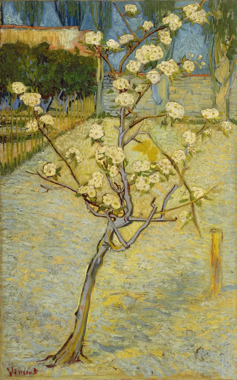 Małe kwitnące drzewo gruszy, Vincent van Gogh