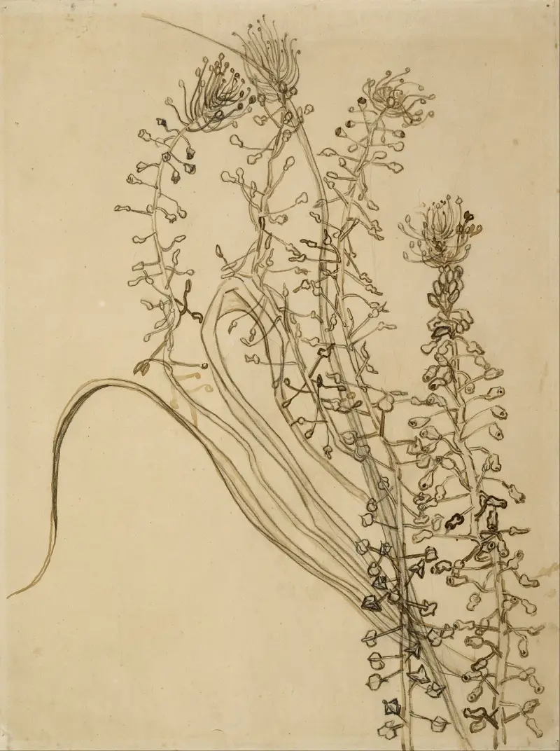 Szczoteczka, Vincent van Gogh
