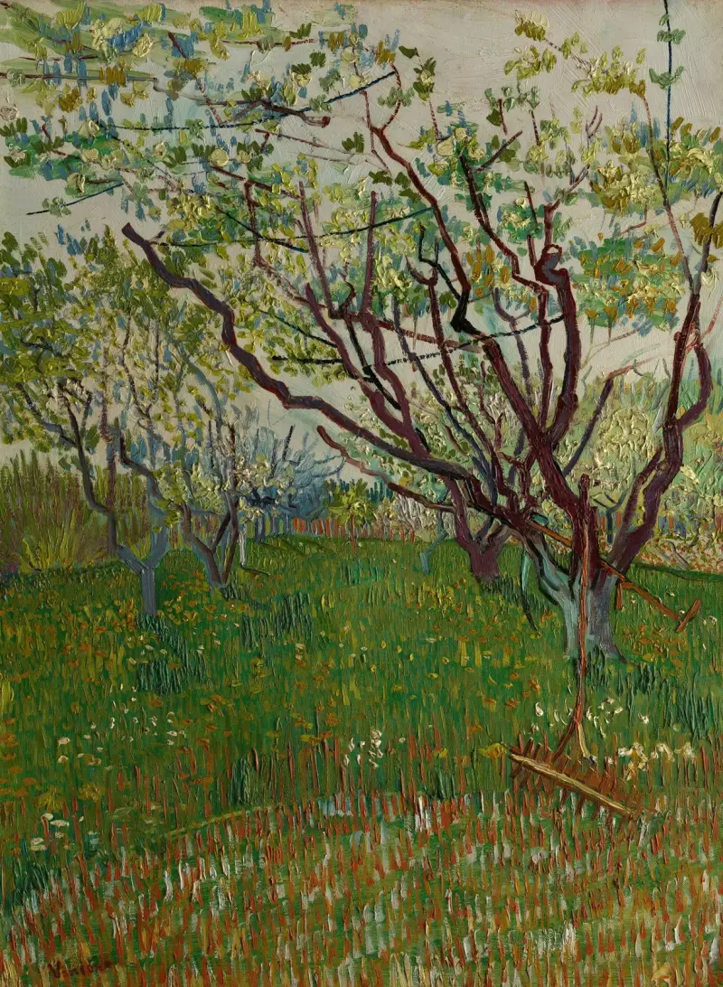 Kwitnący sad, Vincent van Gogh