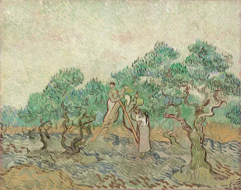 Olivový sad, Vincent van Gogh