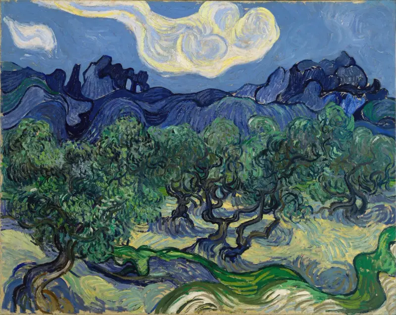 Olivovníky, Vincent van Gogh