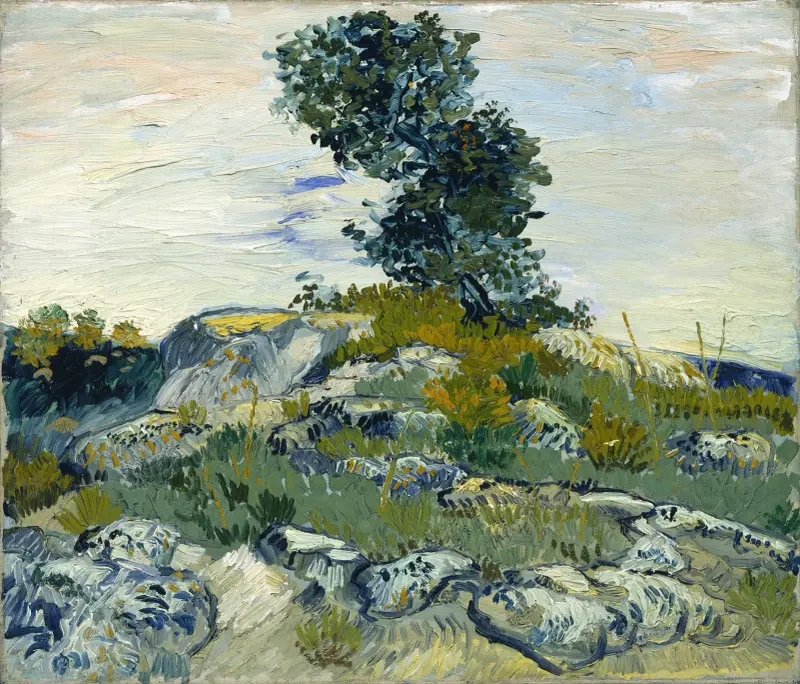 Skalní útesy, Vincent van Gogh