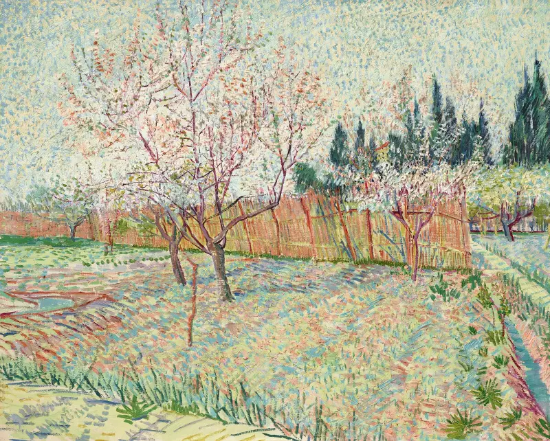 Garten mit Zypressen von Vincent van Gogh