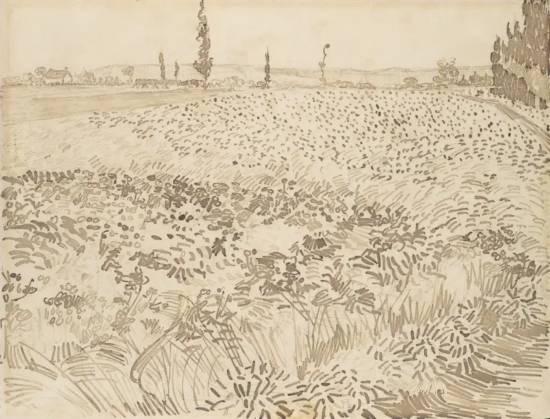 Pšeničné pole, 1888 – č. 1, Vincent van Gogh