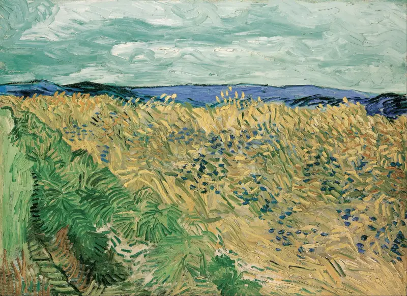 Pšeničné pole s chrpami, Vincent van Gogh