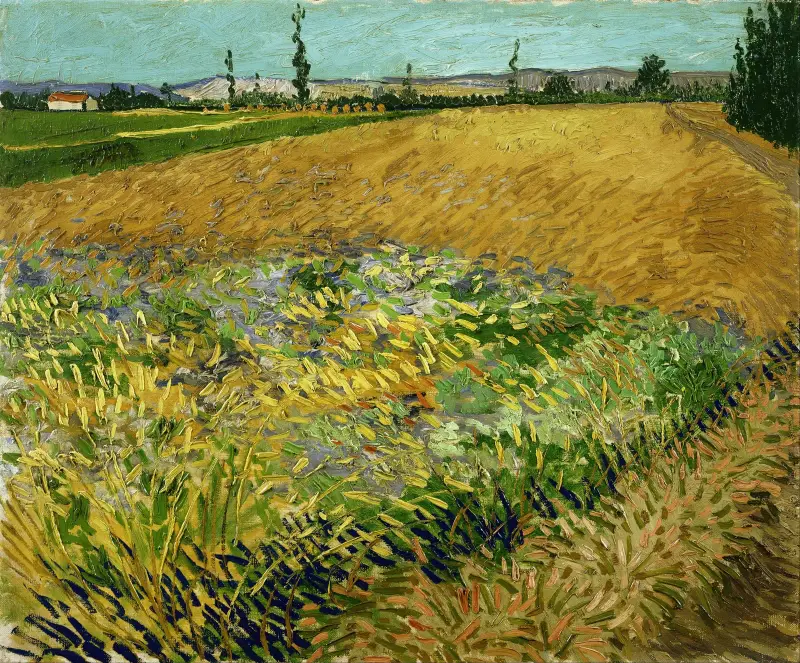 Pšeničné pole, 1888 – č. 2, Vincent van Gogh