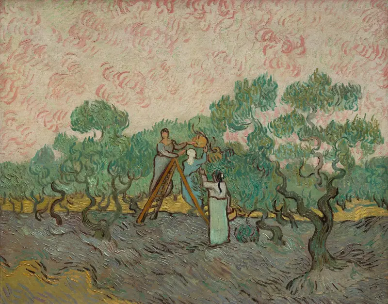 Kobiety zbierające oliwki, Vincent van Gogh