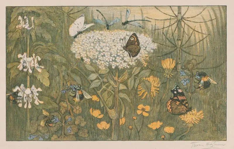 Blumen und Schmetterlinge von Theo van Hoytema