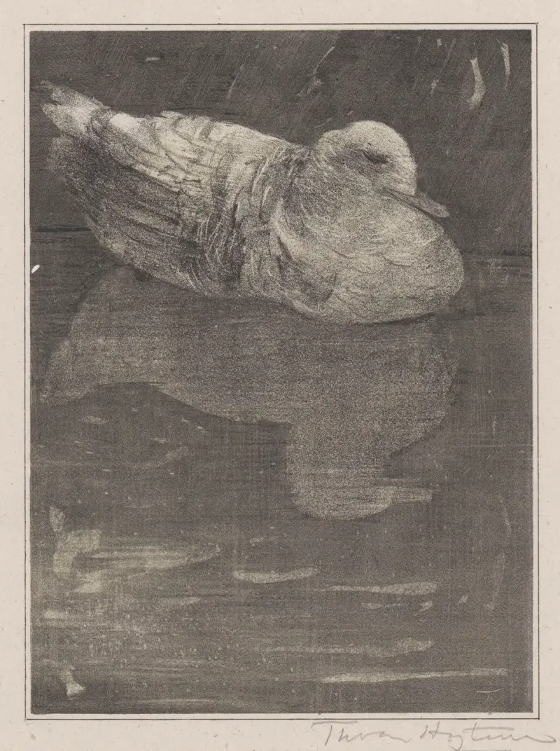 Schwimmende Ente von Theo van Hoytema
