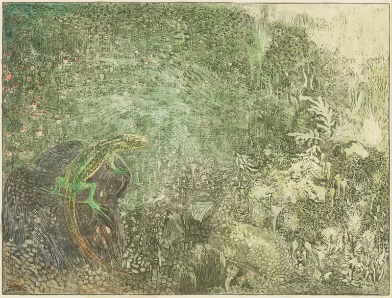 Eidechse auf einem Stein, 1878 – Nr. 2 von Theo van Hoytema