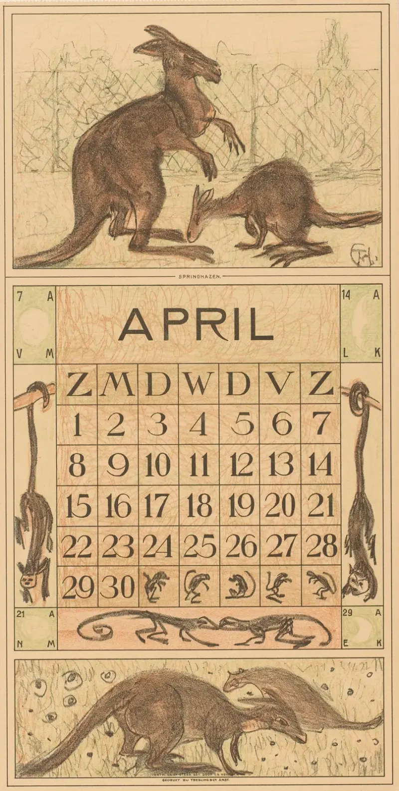 Kalender april med kängurur av Theo van Hoytema