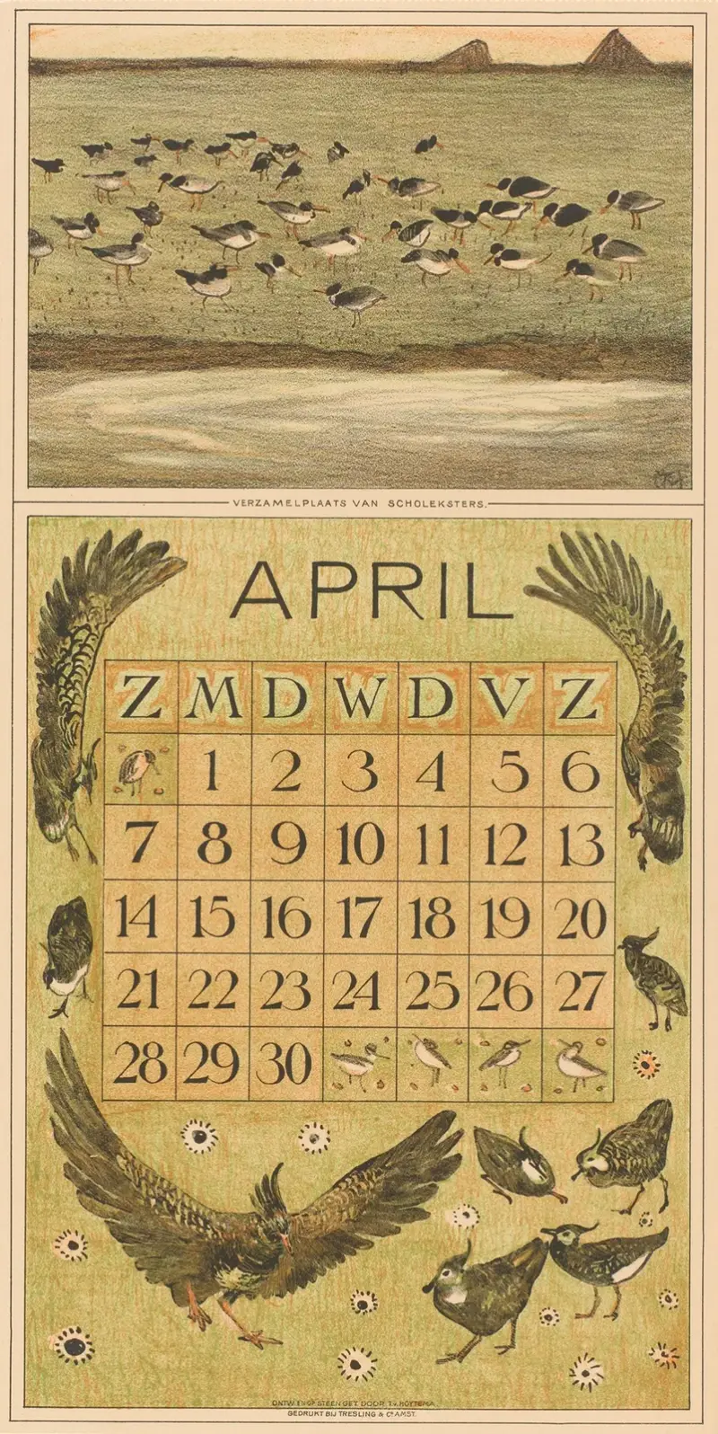 April-Kalenderblatt mit Austernfischern und Kiebitzen von Theo van Hoytema