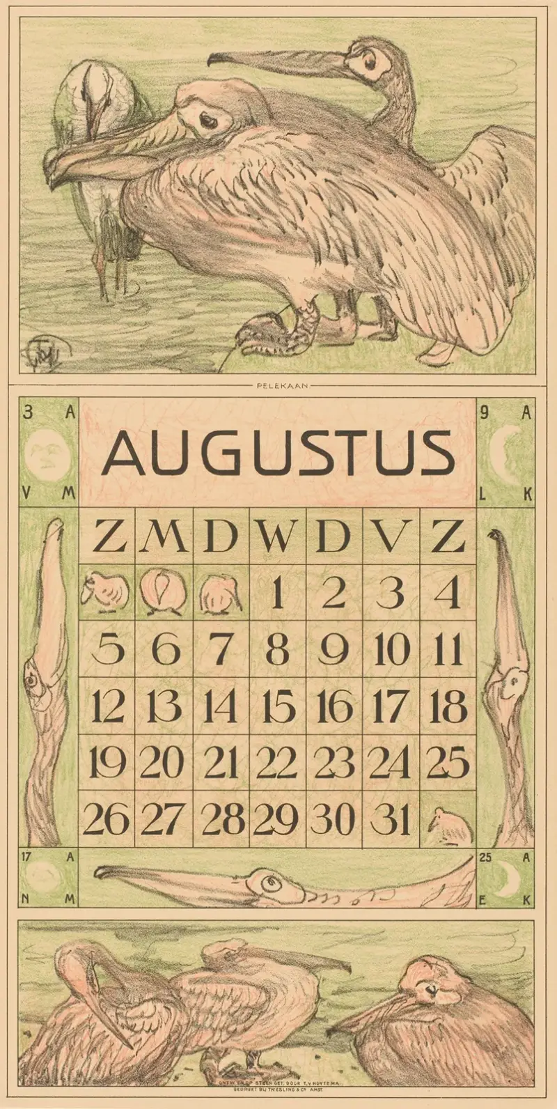 Kalenderblatt August mit Pelikan von Theo van Hoytema