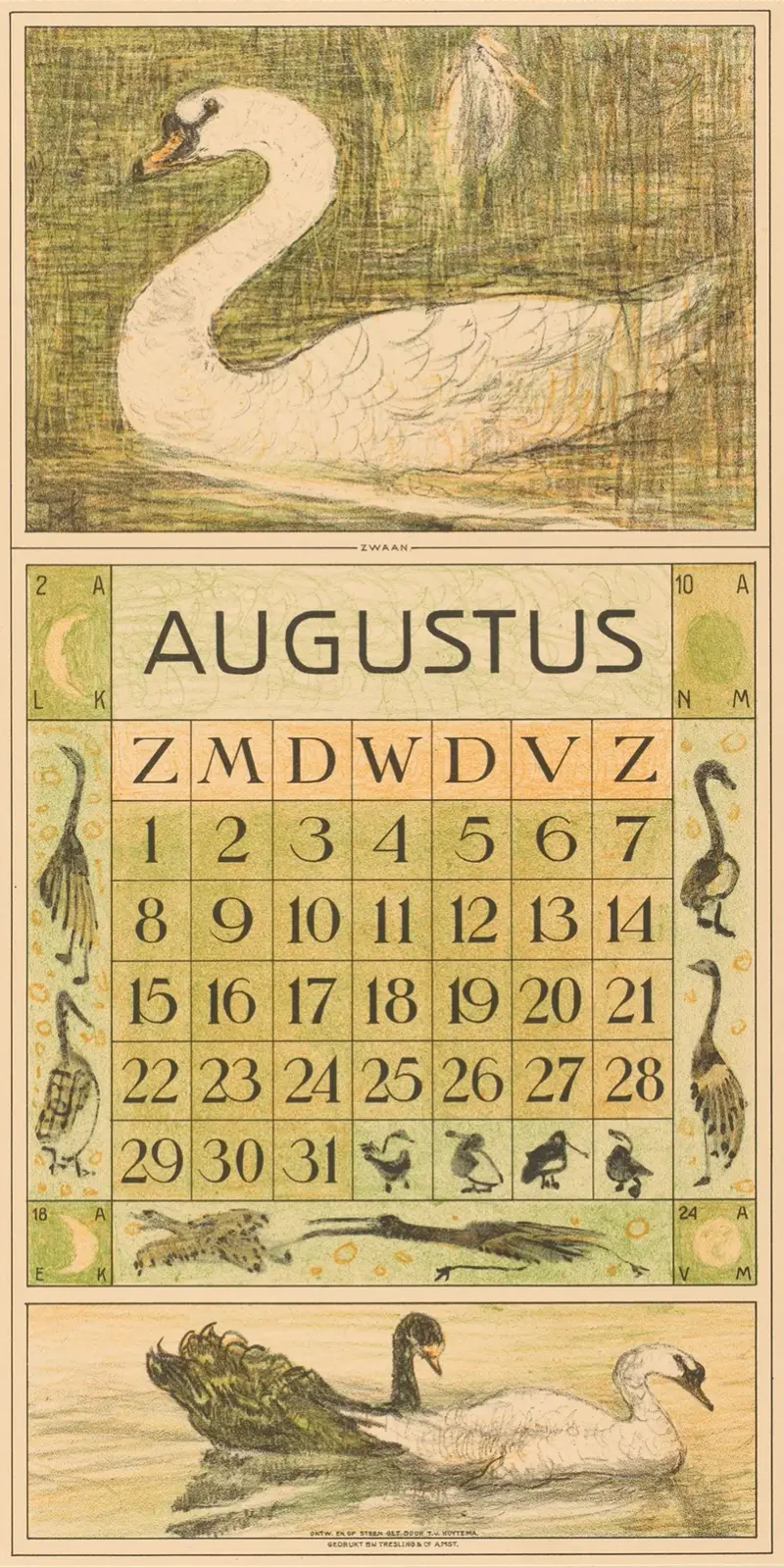Kalenderblad augusti med svan av Theo van Hoytema