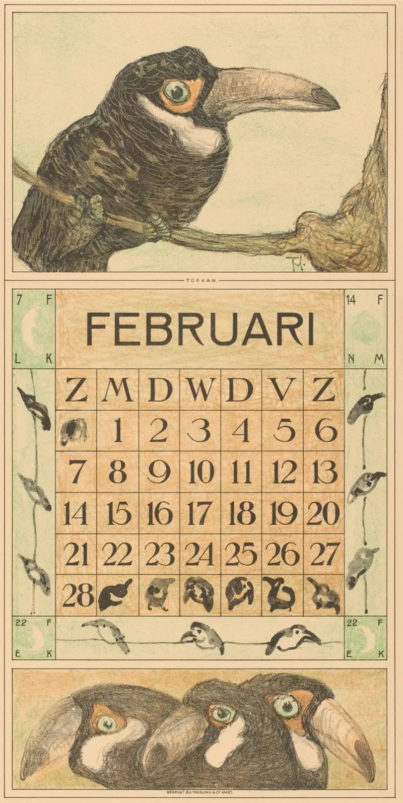 Februarblatt mit Tukan von Theo van Hoytema