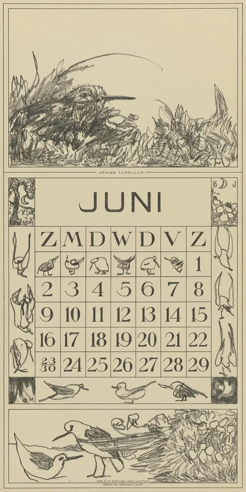 Kalenderblatt Juni mit Rohrdommel im Gras von Theo van Hoytema