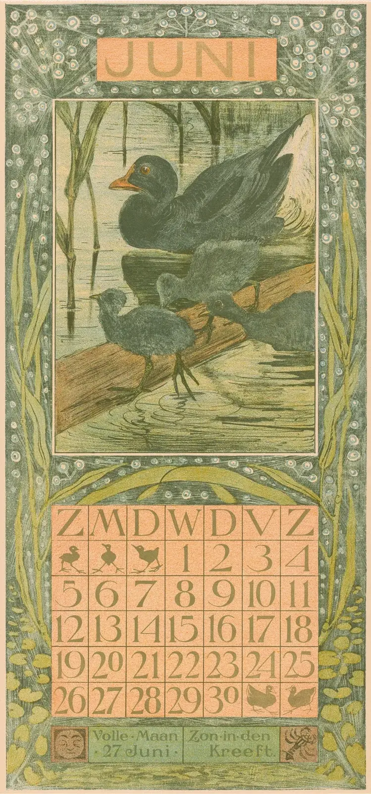 Kalenderblatt Juni mit Trauerente von Theo van Hoytema