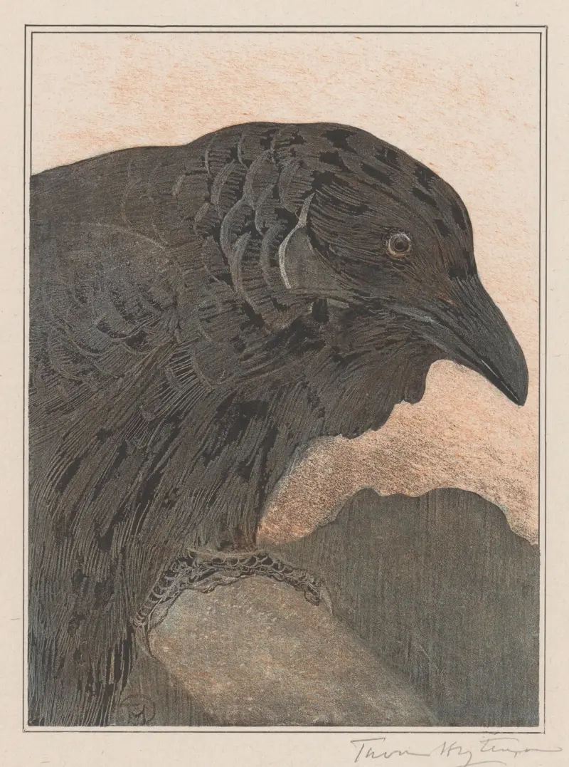 Krähe, 1878 von Theo van Hoytema