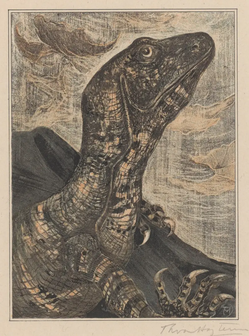 Leguan von Theo van Hoytema