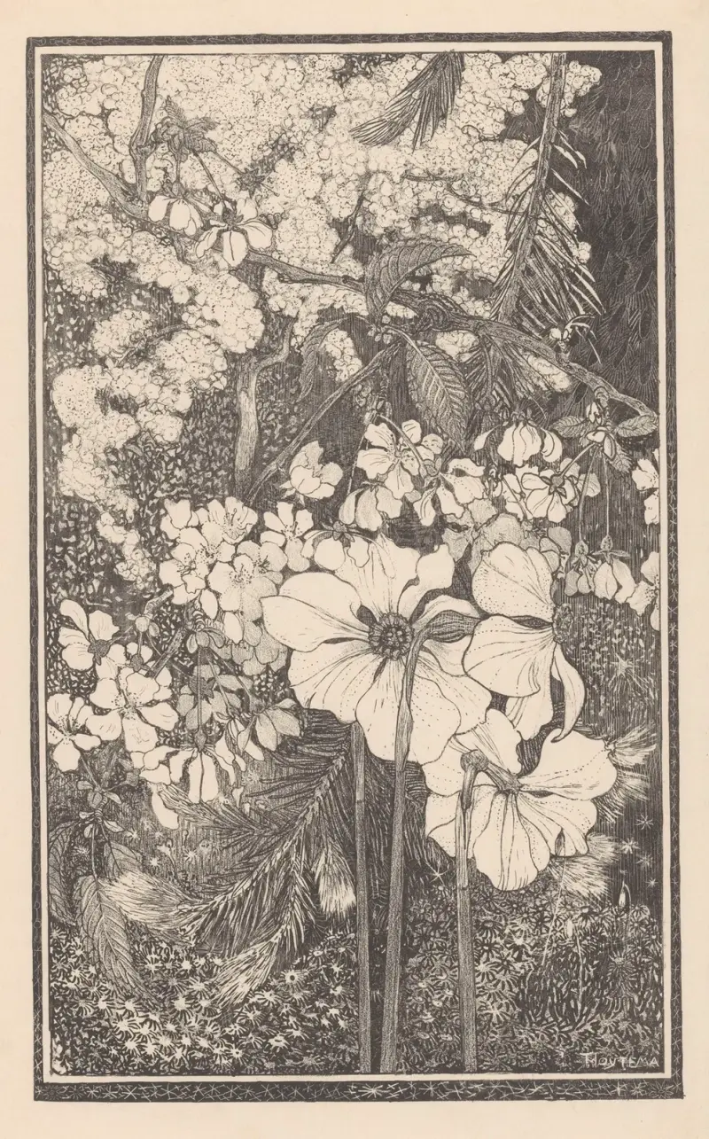 Lente von Theo van Hoytema