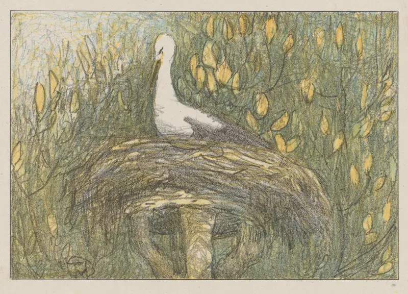 Storch im Nest von Theo van Hoytema
