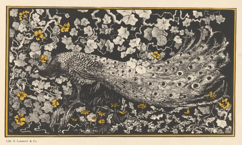 Pauw (in or before 1877 - 1903) av Theo van Hoytema