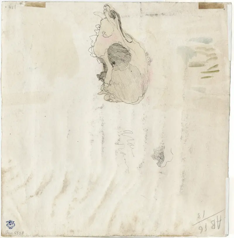 Schedel av Theo van Hoytema