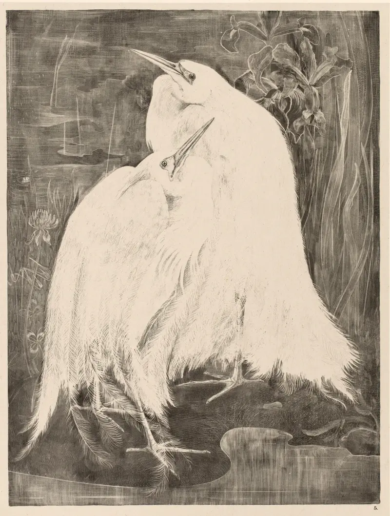 Zwei Silberreiher, 1898 – Nr. 1 von Theo van Hoytema