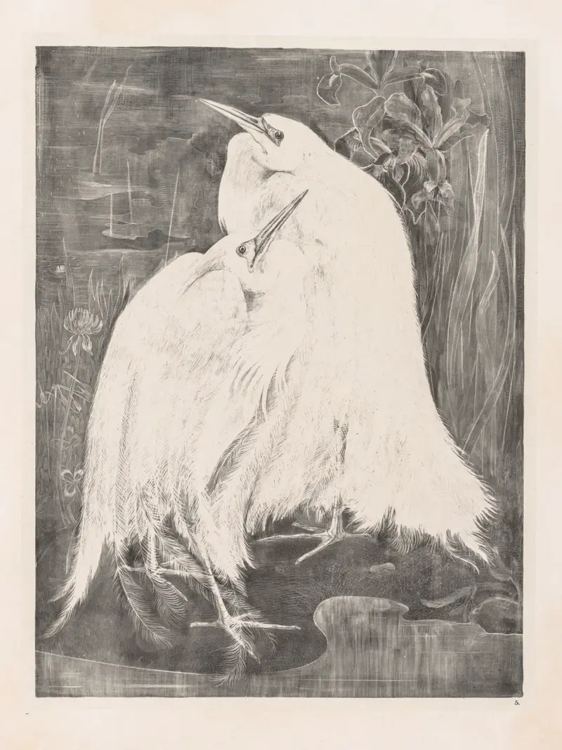 Zwei Silberreiher, 1898 – Nr. 2 von Theo van Hoytema