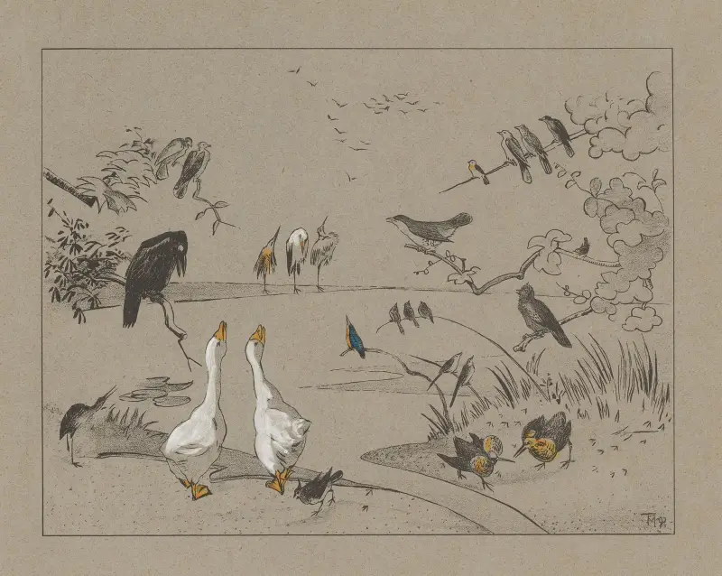 Verschiedene Vogelarten um einen Teich von Theo van Hoytema
