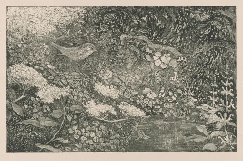 Pták v porostu u vody, Theo van Hoytema