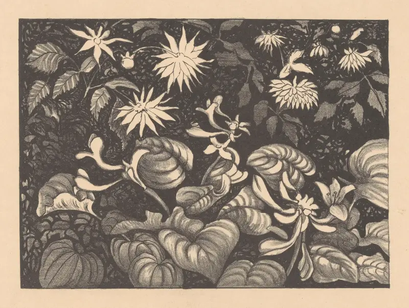 Vilda växter och blommor av Theo van Hoytema