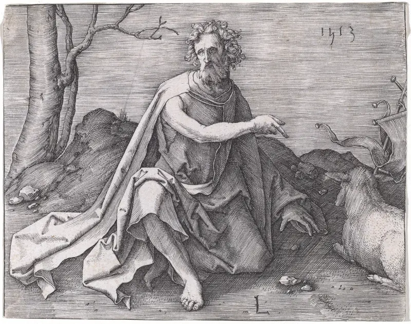 Saint John the Baptist in the Desert av Lucas Van Leyden