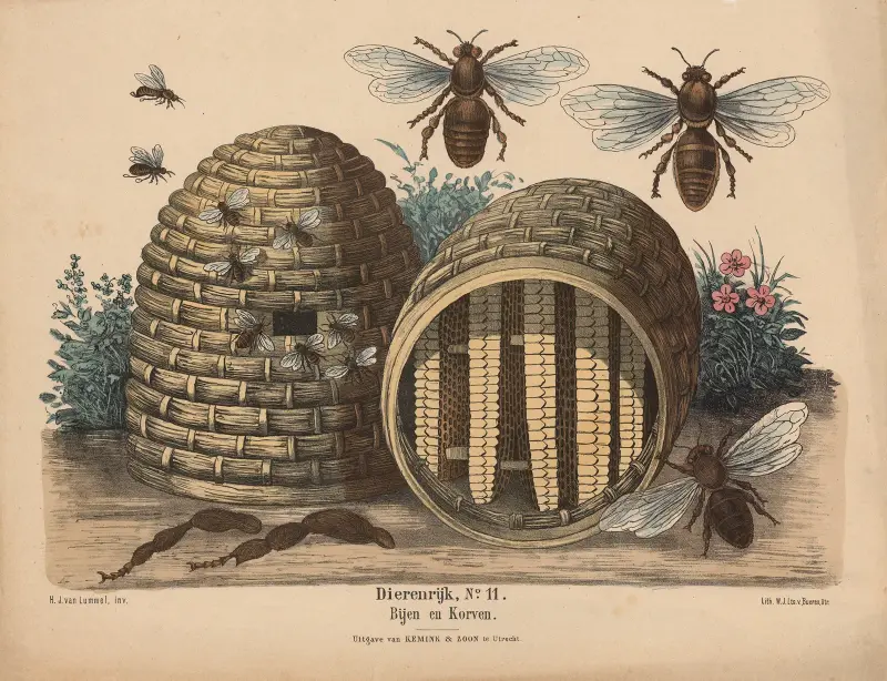 Bienen und Körbe von Hendrik Jan van Lummel