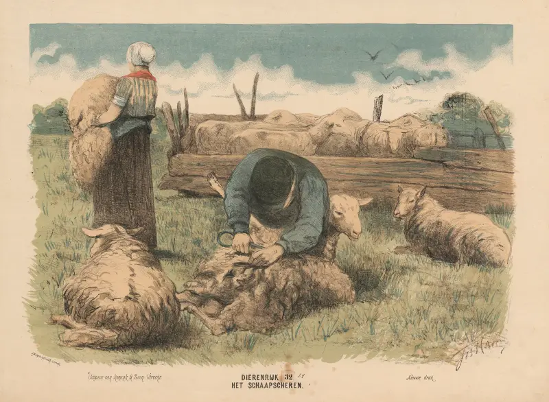 Fårsaxningen av Hendrik Jan van Lummel