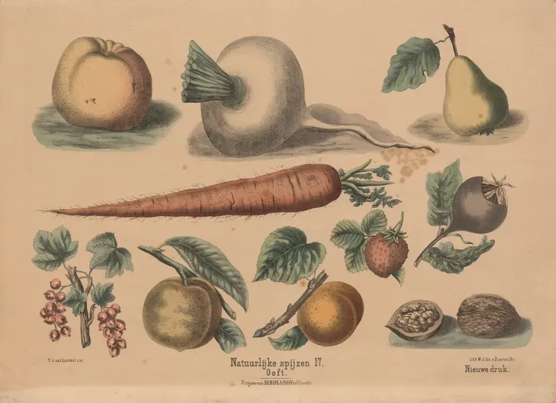 Obst von Hendrik Jan van Lummel