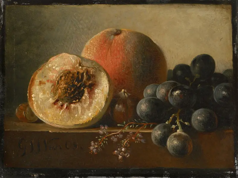Früchte von Georgius Jacobus Johannes van Os