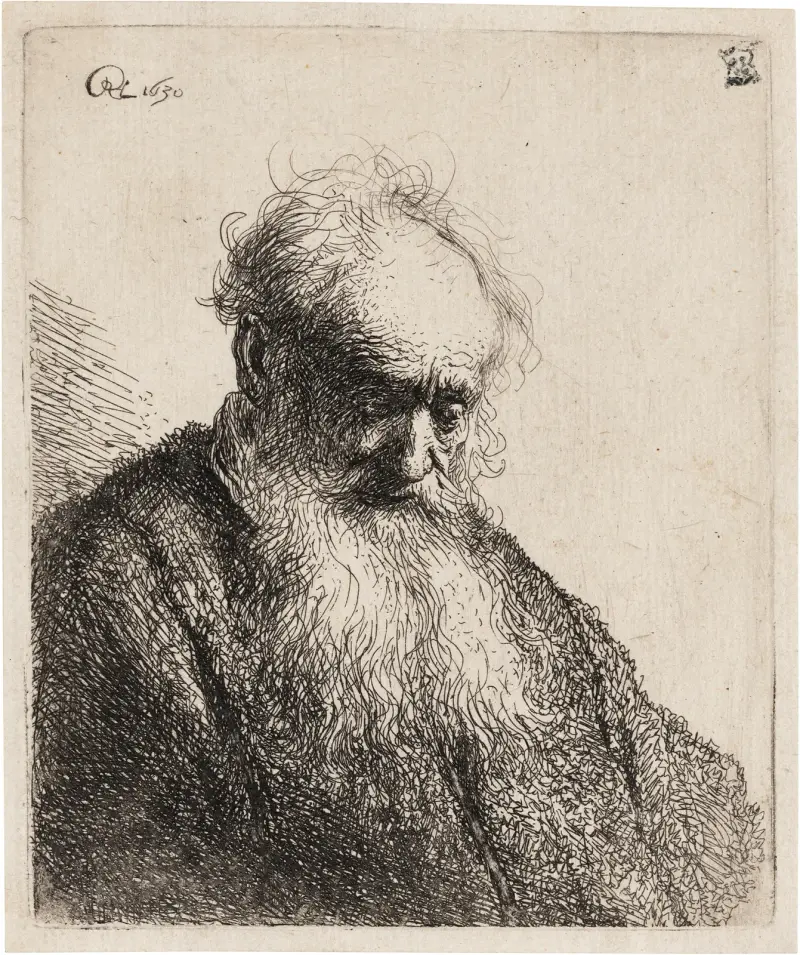 Starý muž s rozvlněným plnovousem, Rembrandt van Rijn