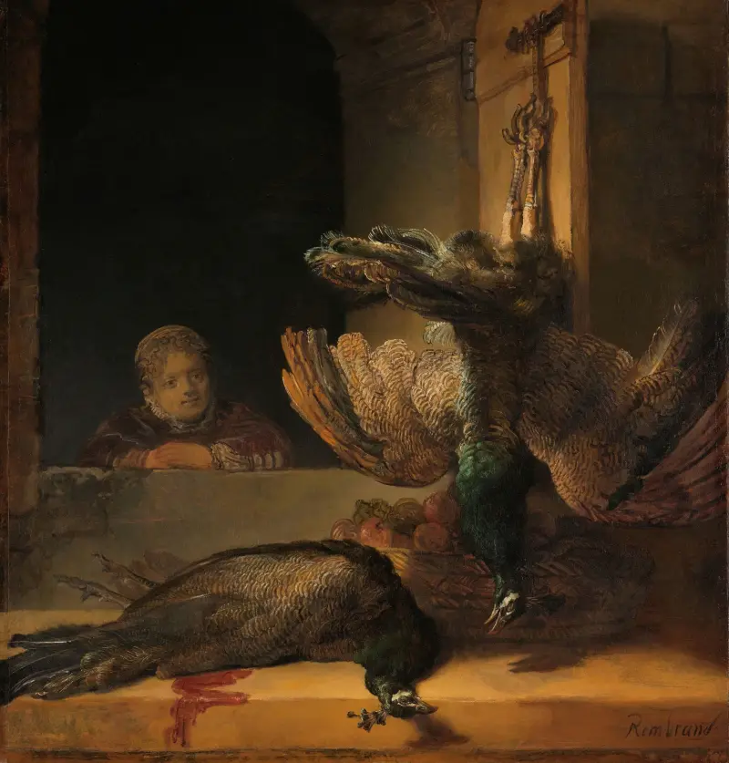 Stillleben mit Pfauen von Rembrandt van Rijn