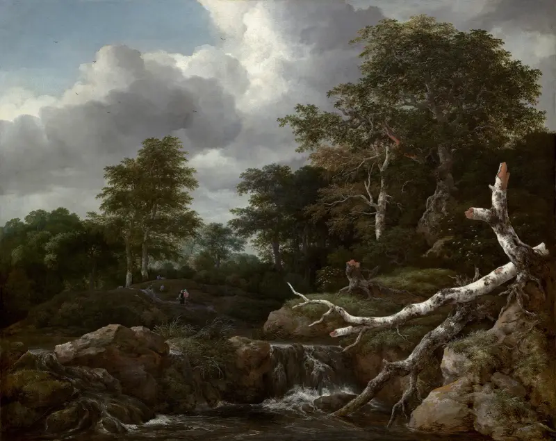 Skogsscen av Jacob van Ruisdael