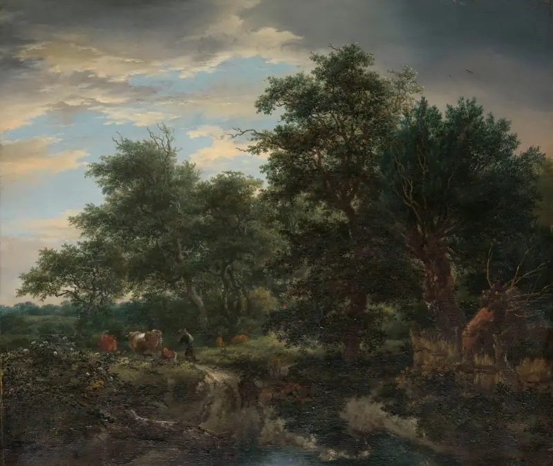 Lesní scéna, Jacob van Ruisdael