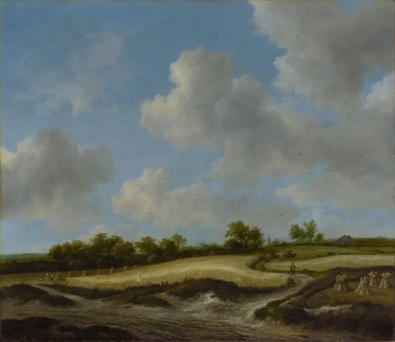 Krajobraz z polem pszenicy, Jacob van Ruisdael