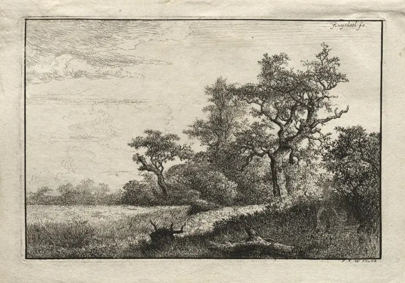 Vetefältet av Jacob van Ruisdael