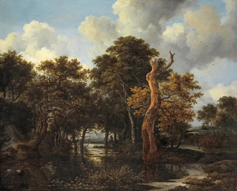 Wooden Marsh Landscape with Dead Tree av Jacob van Ruisdael