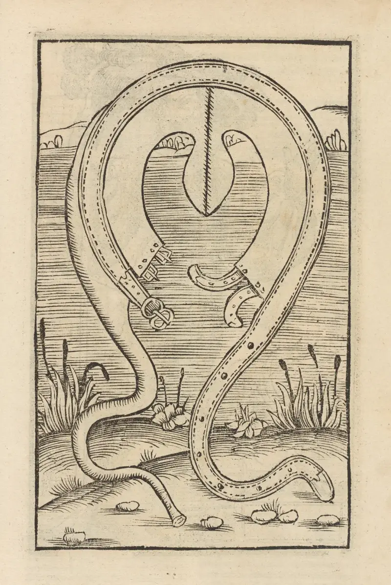 Fyra böcker om ridderskapet, plansch 043 av Flavius Vegetius Renatus