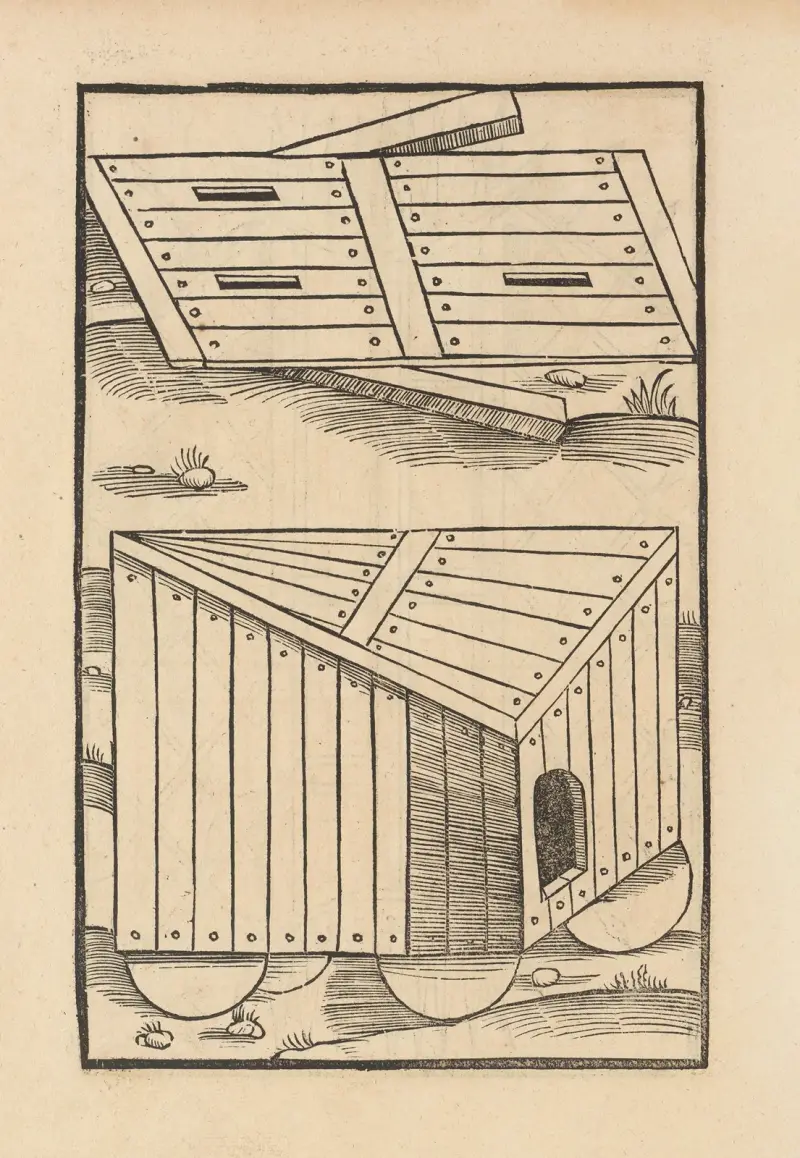 Vier Bücher der Ritterschafft Pl.078 av Flavius Vegetius Renatus