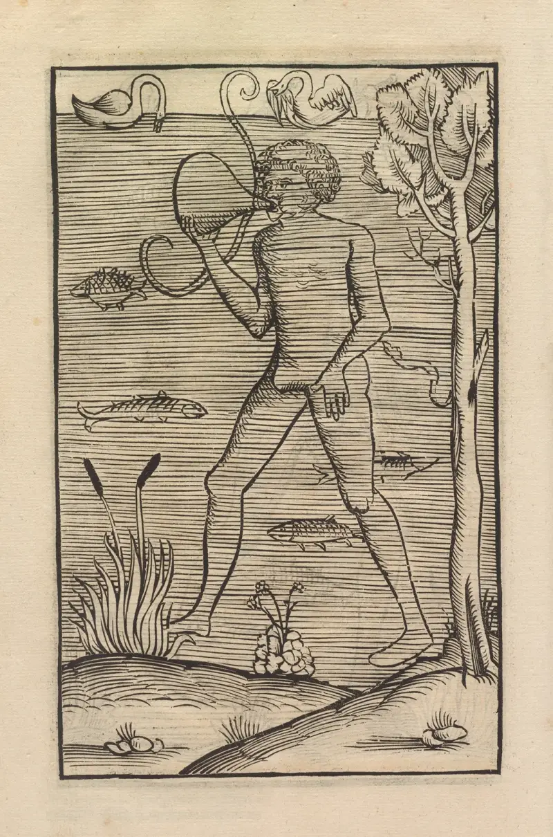 Vier Bücher der Ritterschafft Pl.082 av Flavius Vegetius Renatus